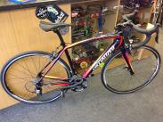 Amira Expert SL4