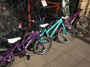 Dawes Paris LT