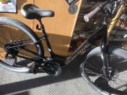 Specialized Roll Low Entry